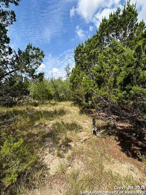 1.28 acres in Comal County - photo 6
