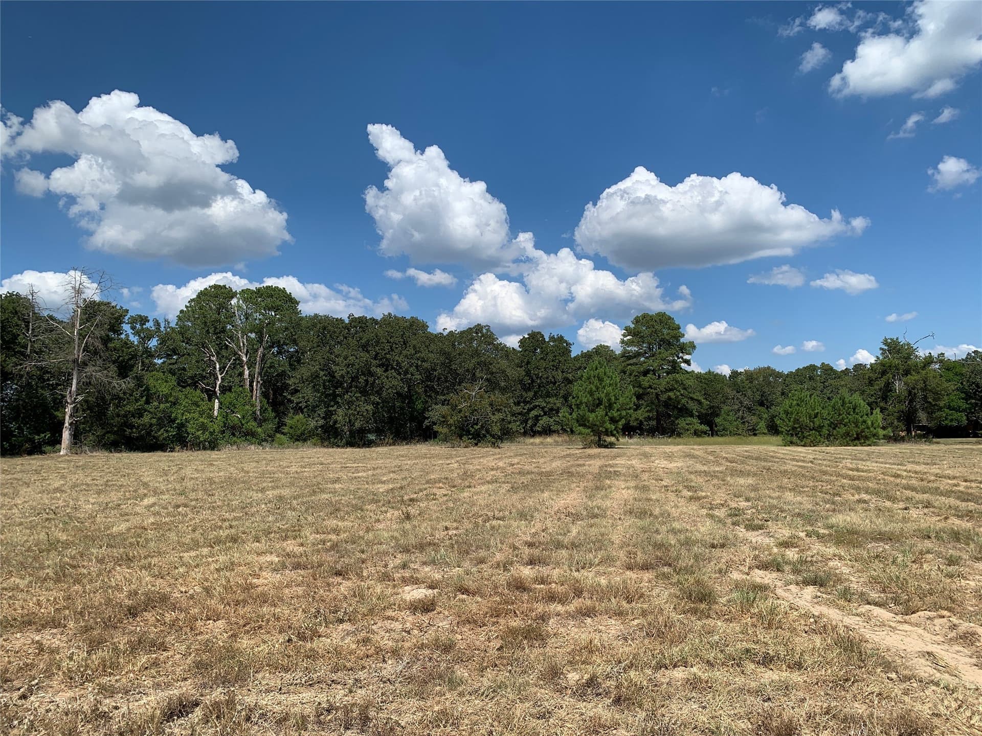 2.31 acres in Henderson County - photo 5