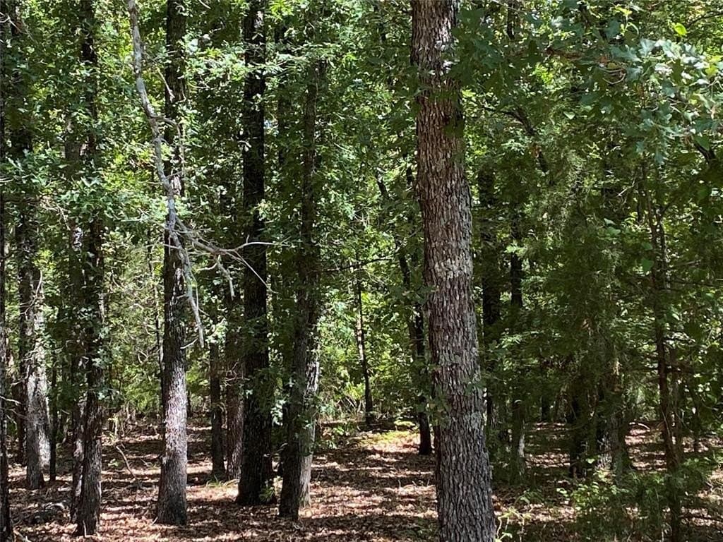 126.66 acres in Hopkins County featured view