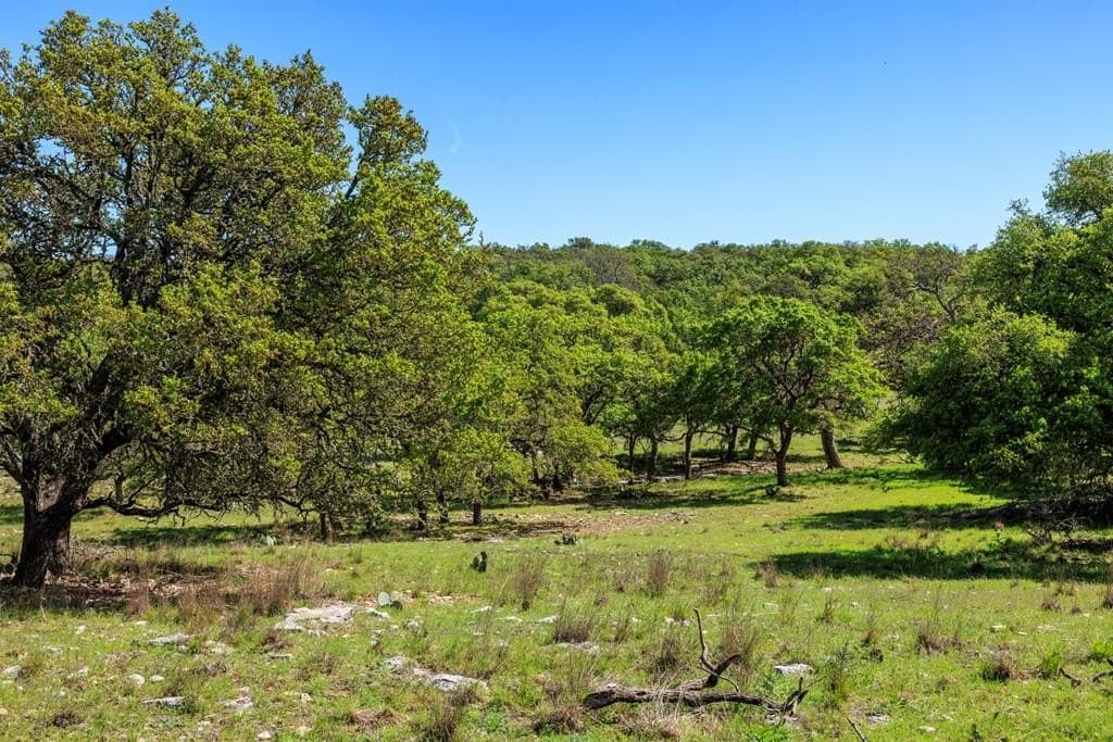 46 acres in Kerr County