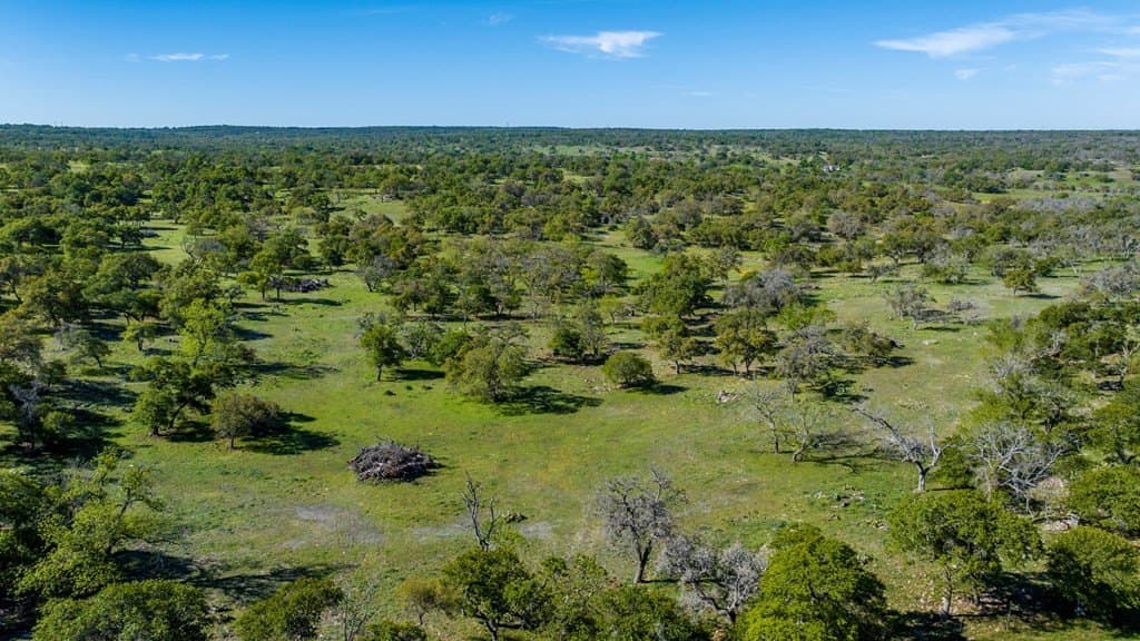 46 acres in Kerr County gallery image 4