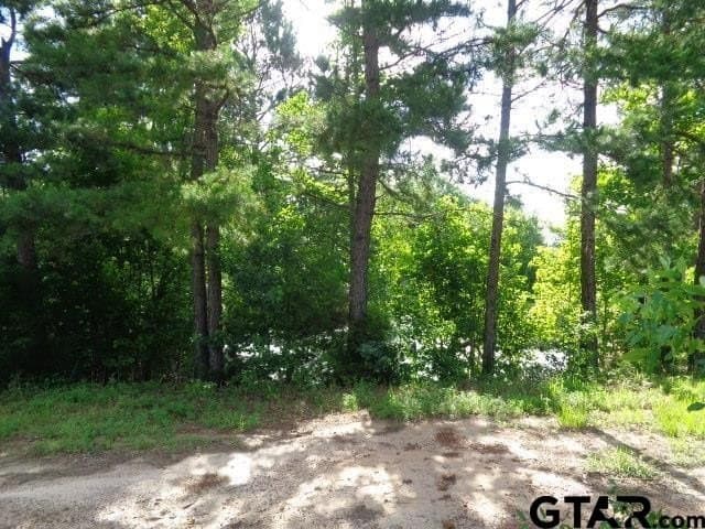 1.61 acres in Wood County gallery image 3