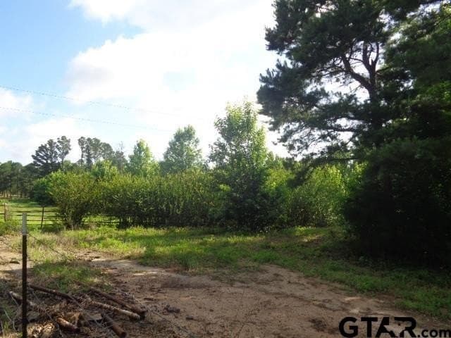 1.61 acres in Wood County gallery image 4