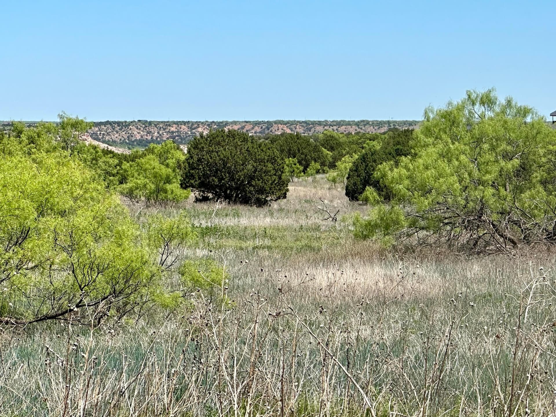 6.49 acres in Randall County
