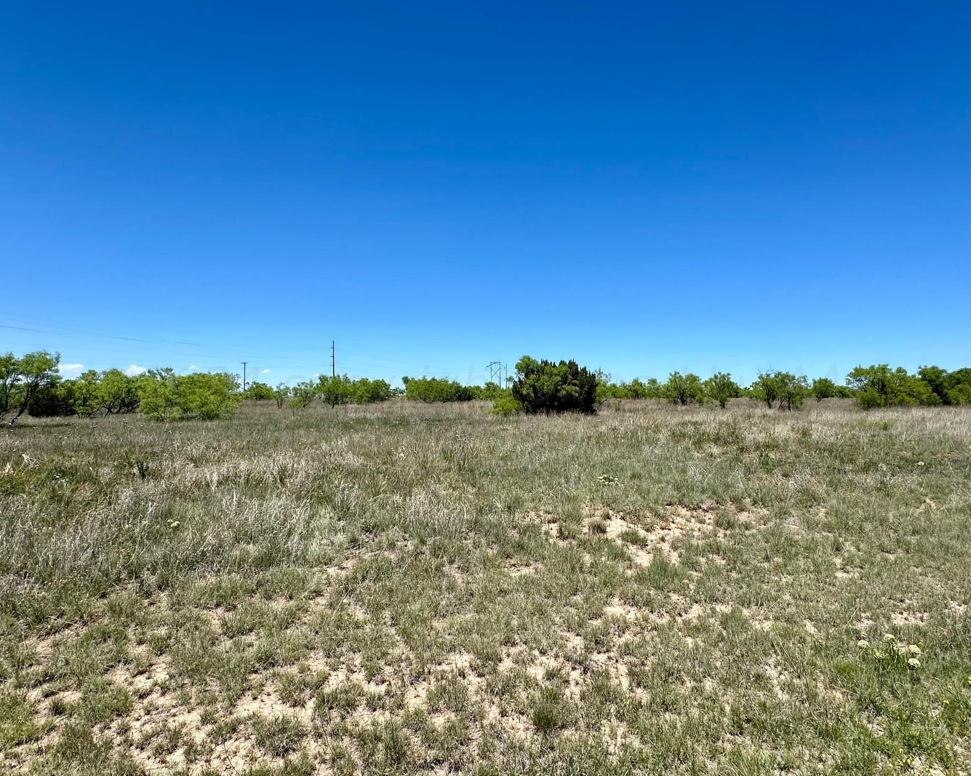 6.49 acres in Randall County featured view