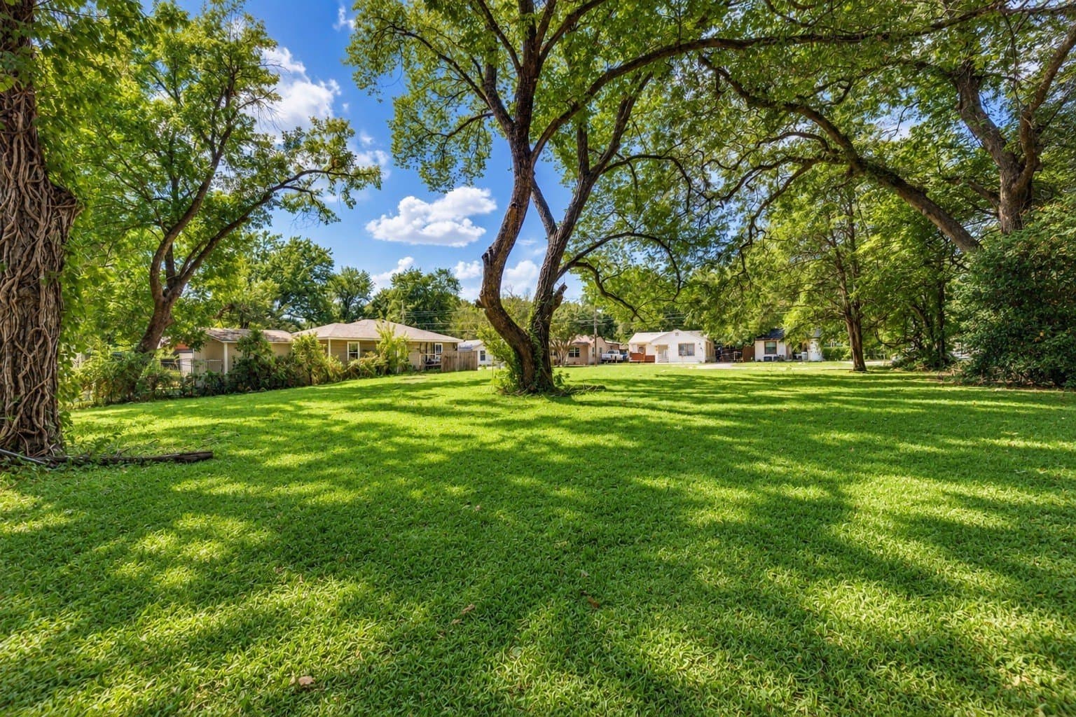 0.2 acres in Dallas County - photo 7
