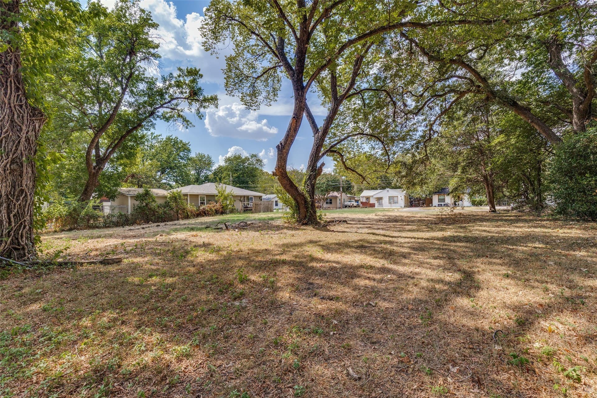 0.2 acres in Dallas County - photo 8