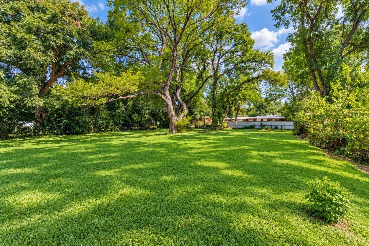 0.2 acres in Dallas County - photo 5
