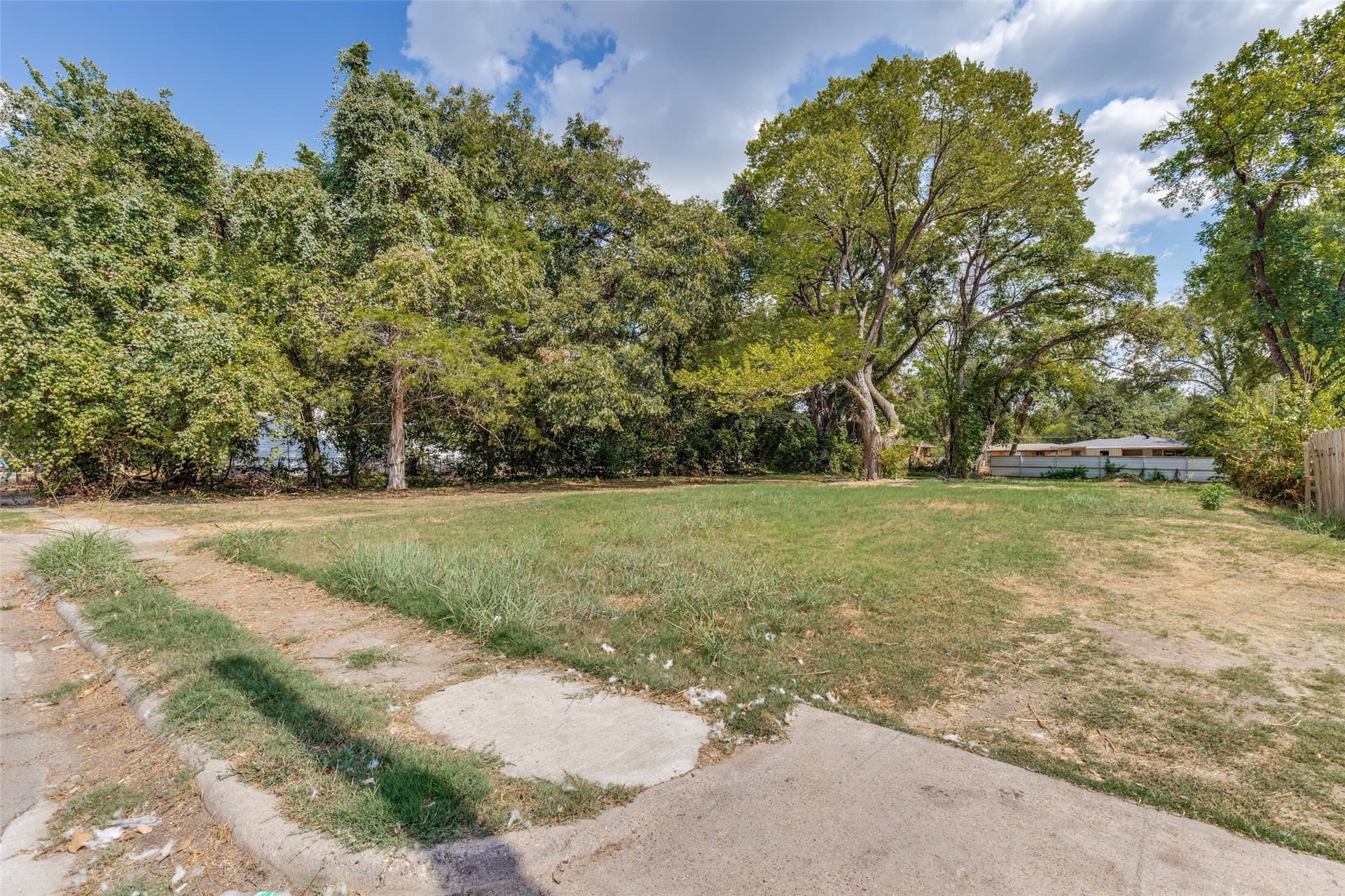 0.2 acres in Dallas County - photo 2