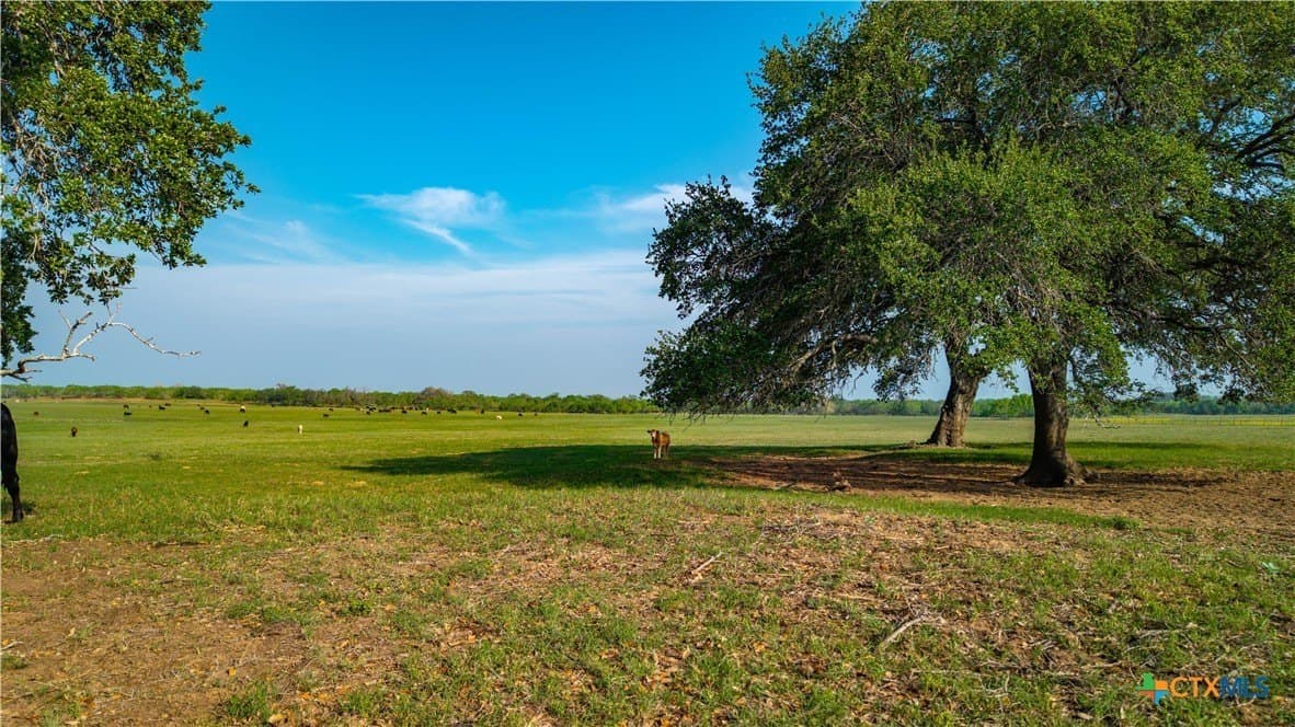 103.31 acres in Wilson County - photo 22