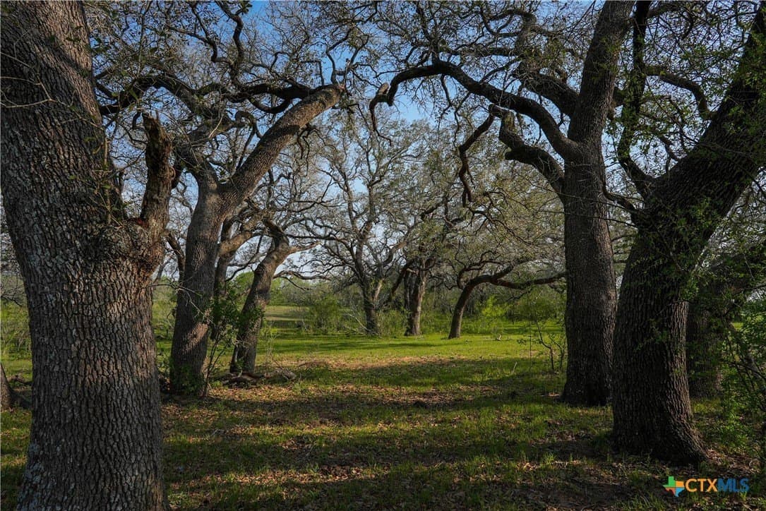 103.31 acres in Wilson County - photo 13