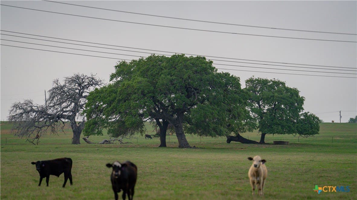 103.31 acres in Wilson County - photo 9