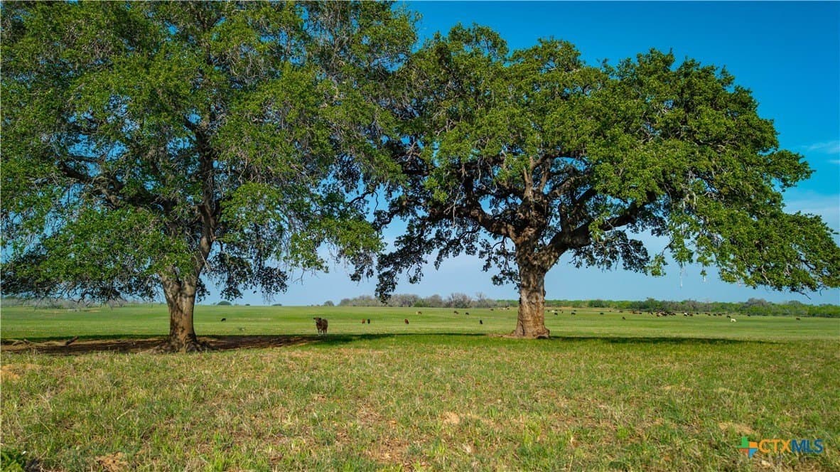 103.31 acres in Wilson County