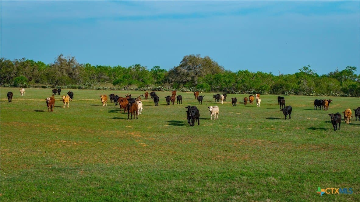103.31 acres in Wilson County - photo 23