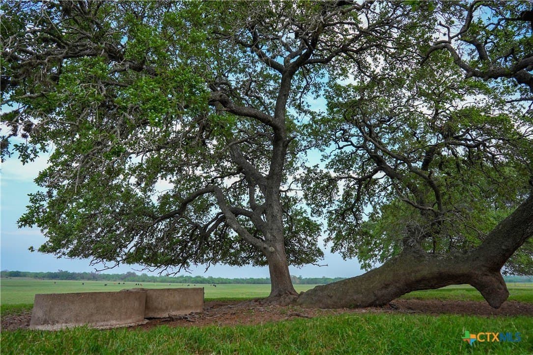 103.31 acres in Wilson County - photo 33