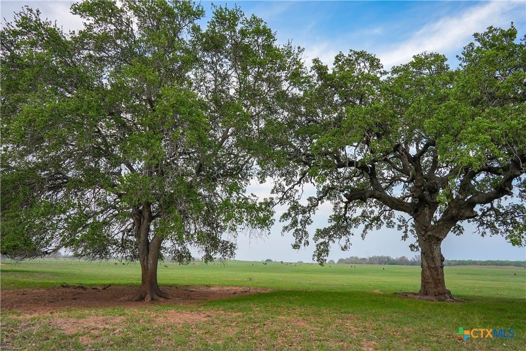 103.31 acres in Wilson County - photo 24
