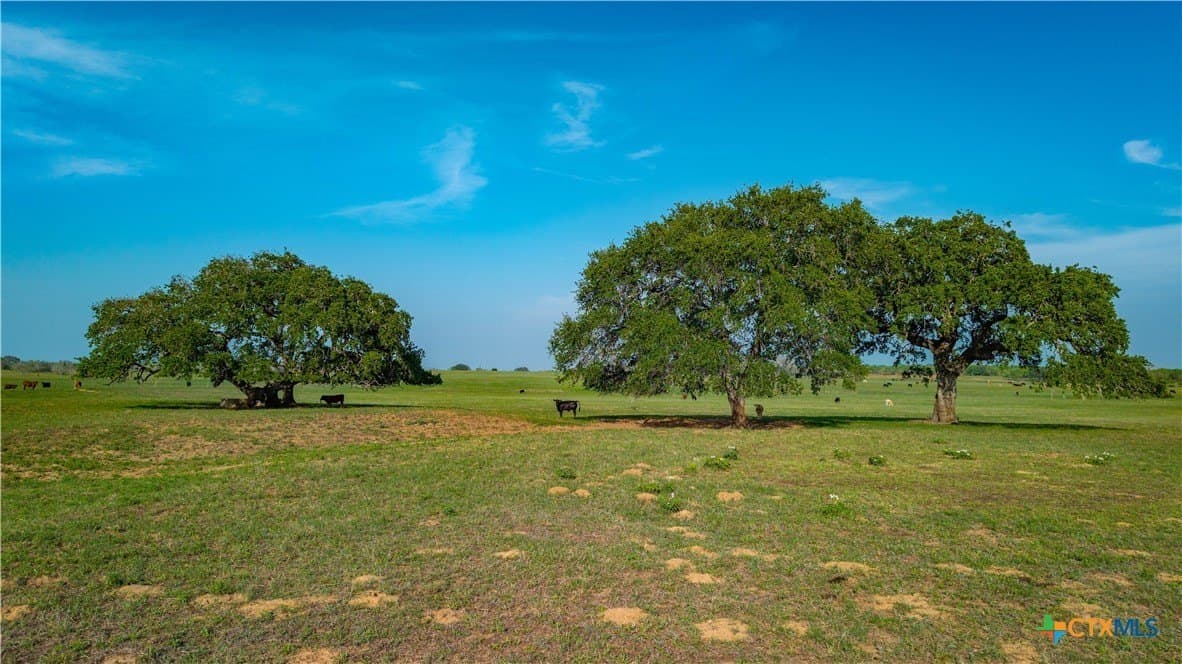 103.31 acres in Wilson County - photo 21