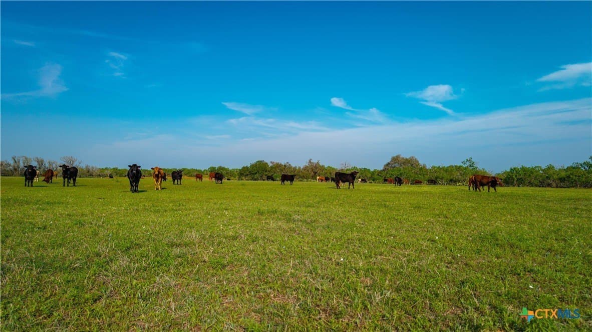 103.31 acres in Wilson County - photo 26