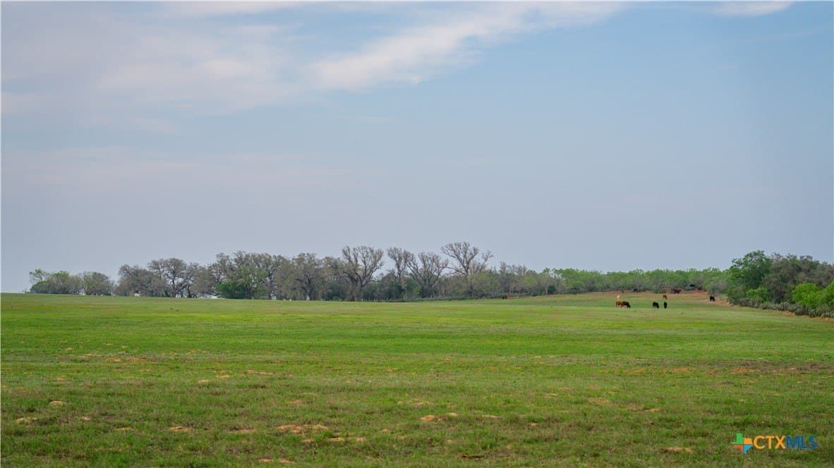 103.31 acres in Wilson County - photo 31