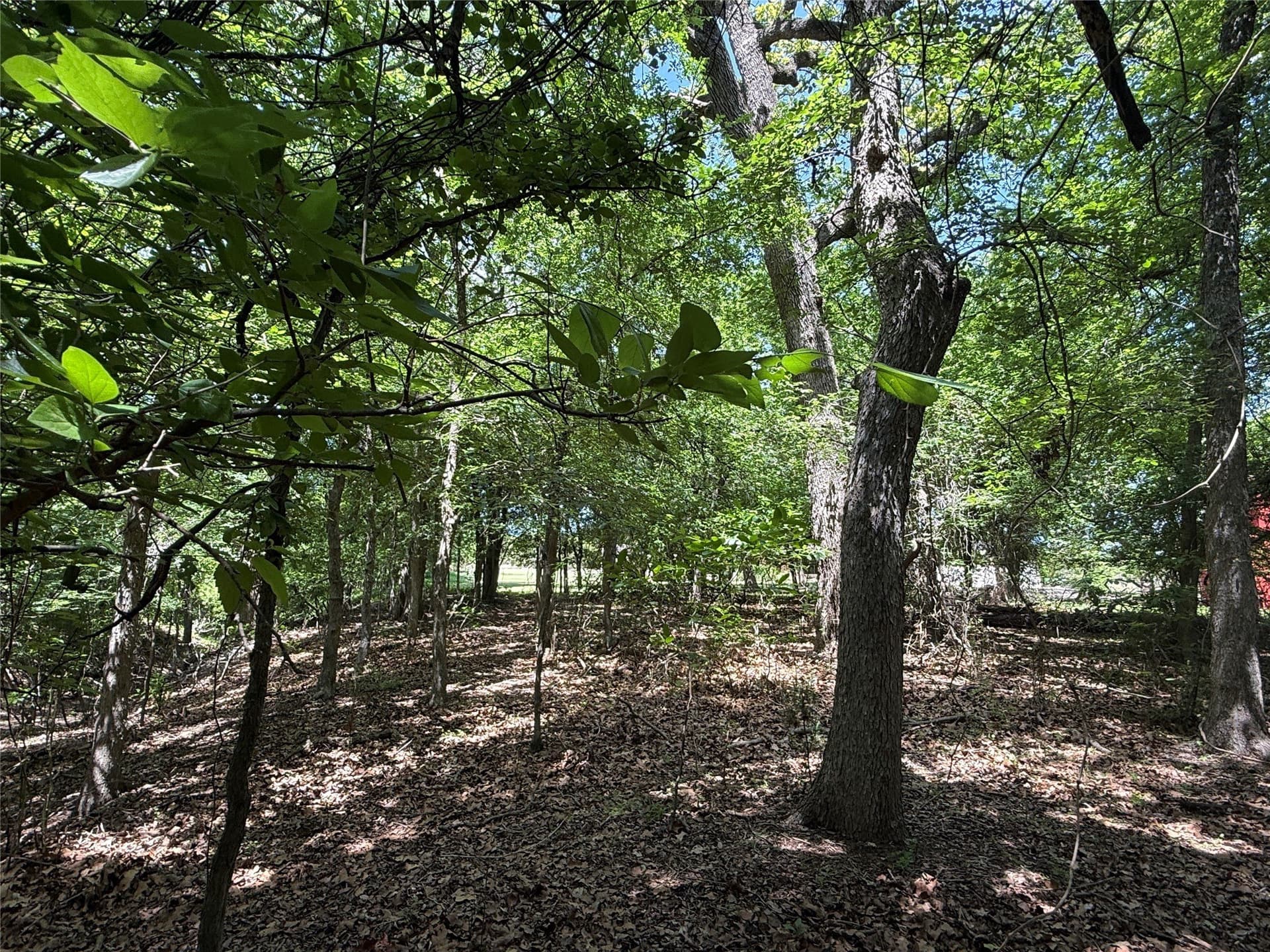 25.43 acres in Hamilton County - photo 37