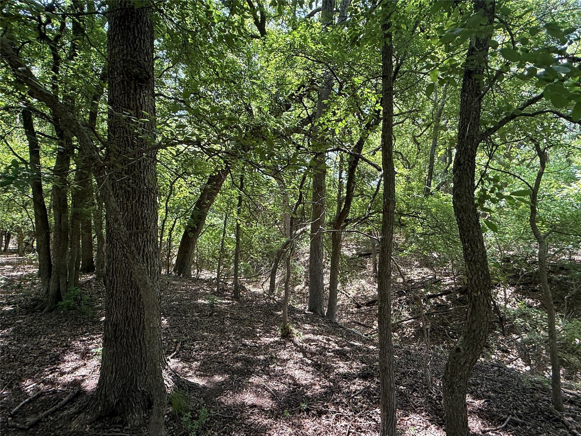 25.43 acres in Hamilton County - photo 34