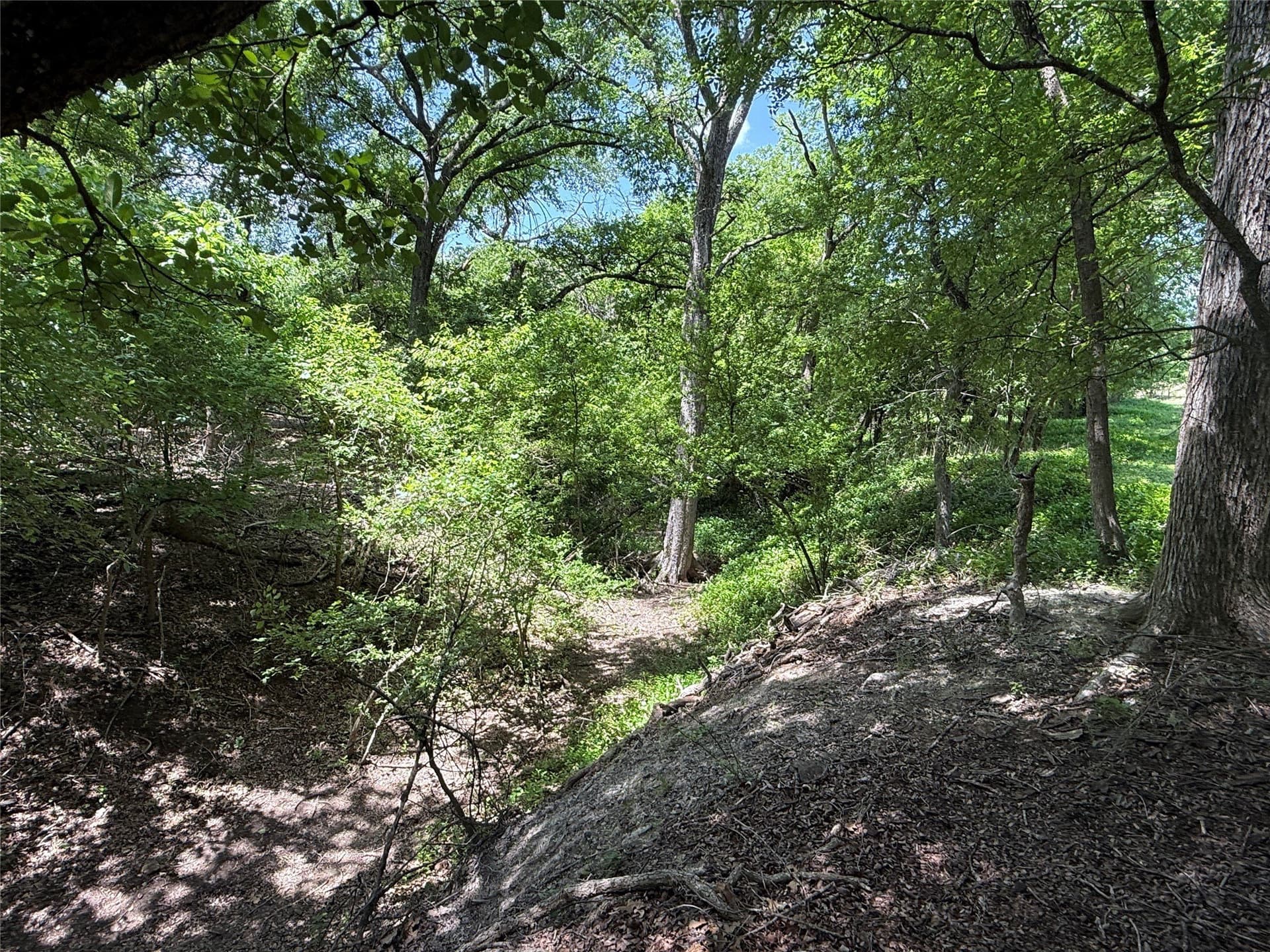 25.43 acres in Hamilton County - photo 35