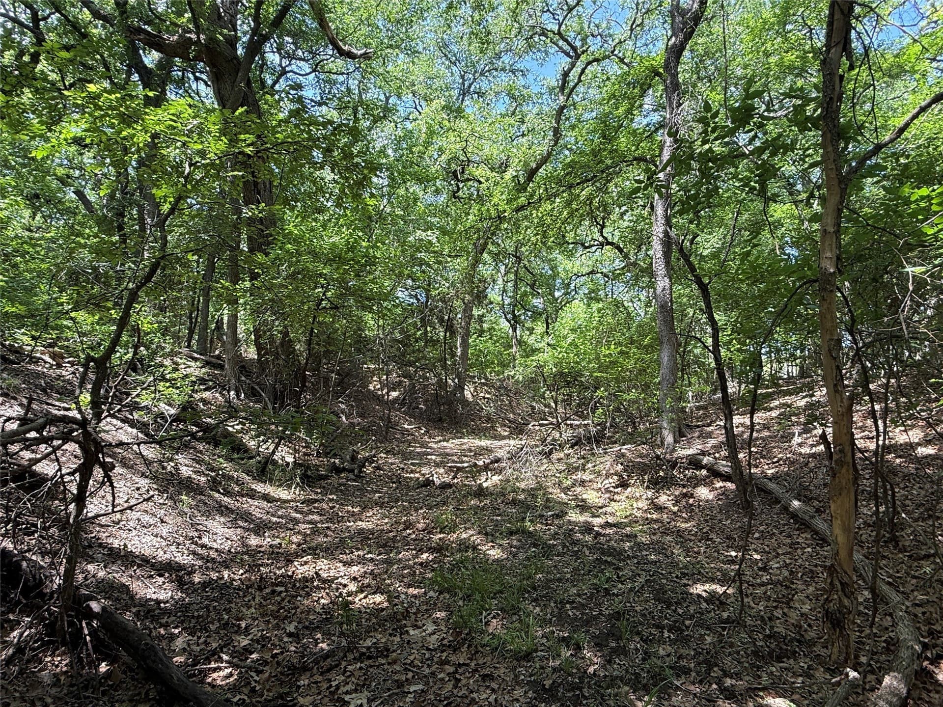25.43 acres in Hamilton County - photo 36