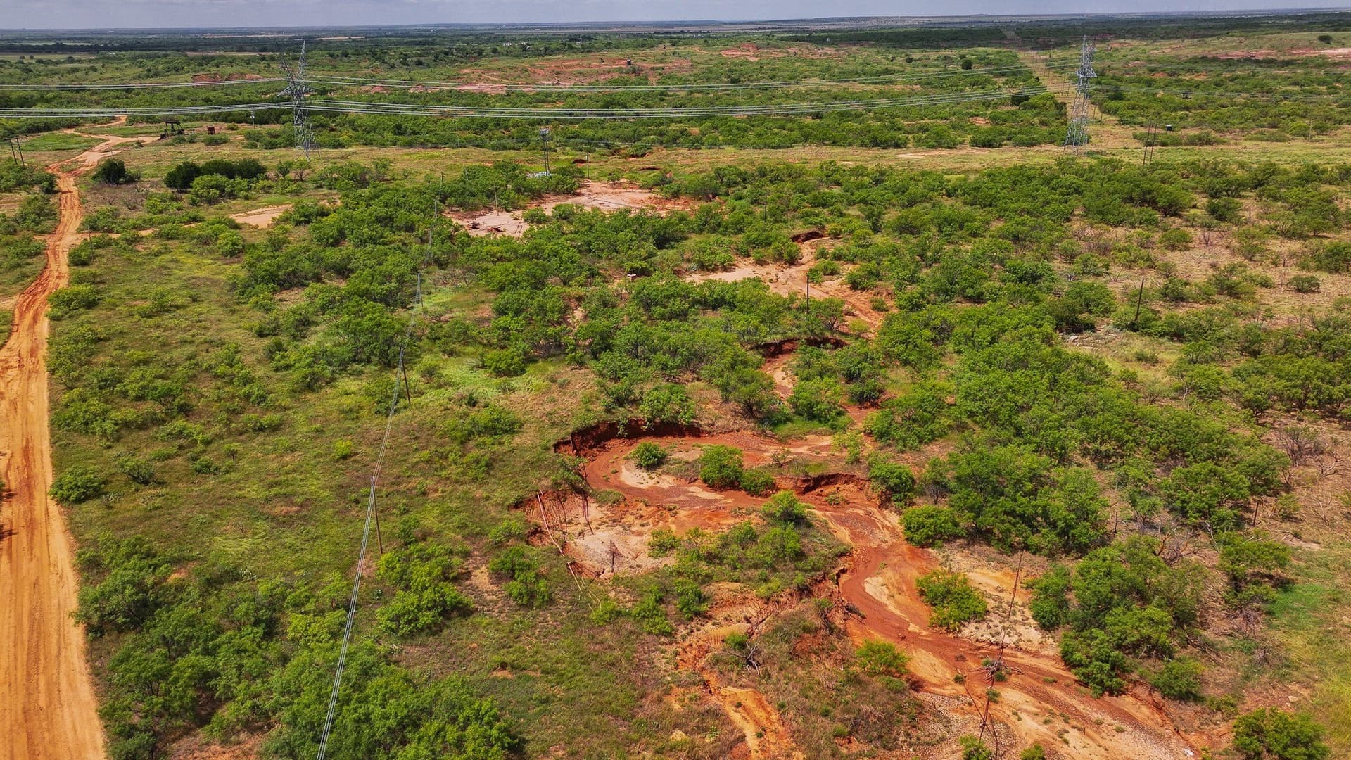 210 acres in Wichita County - photo 21
