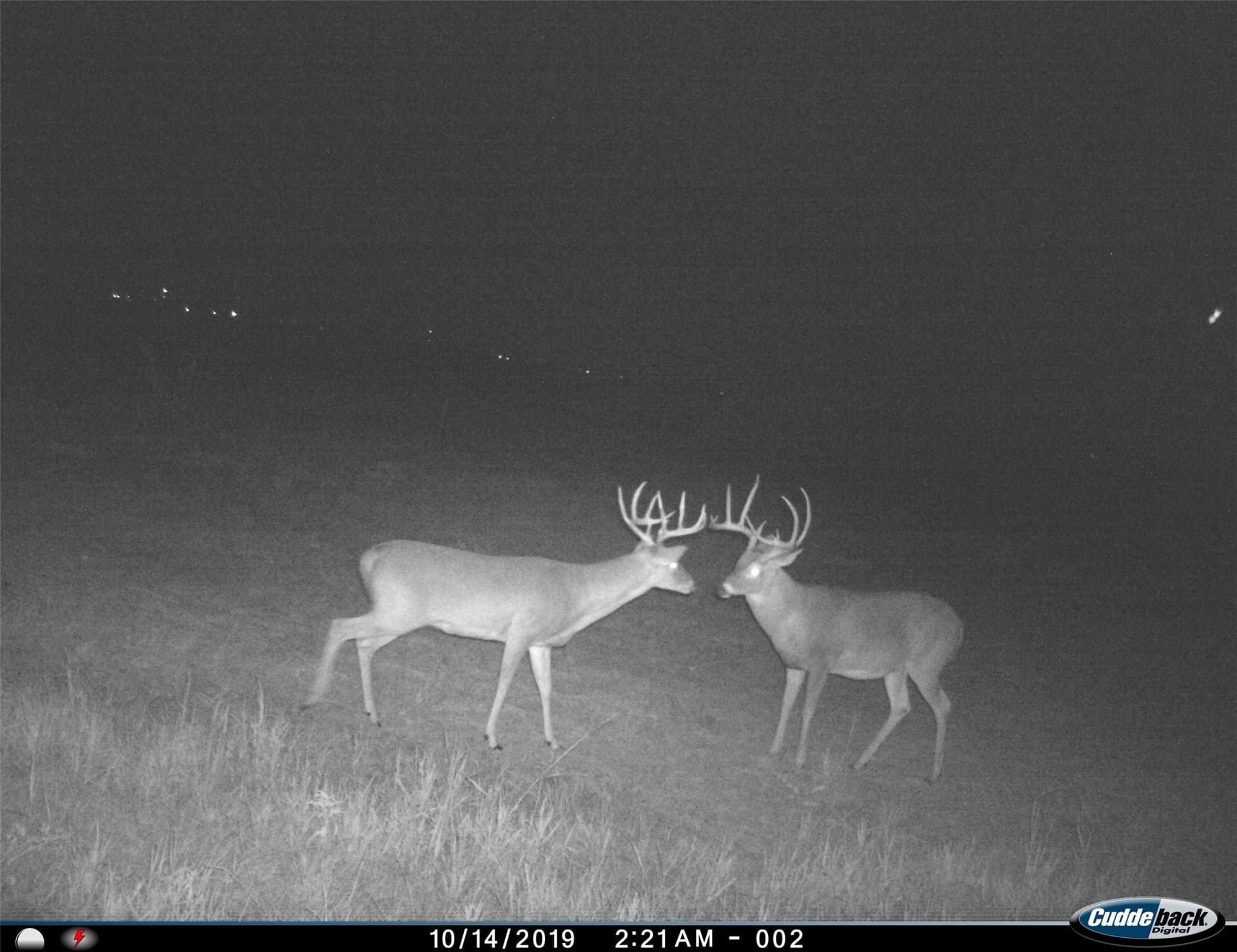 210 acres in Wichita County