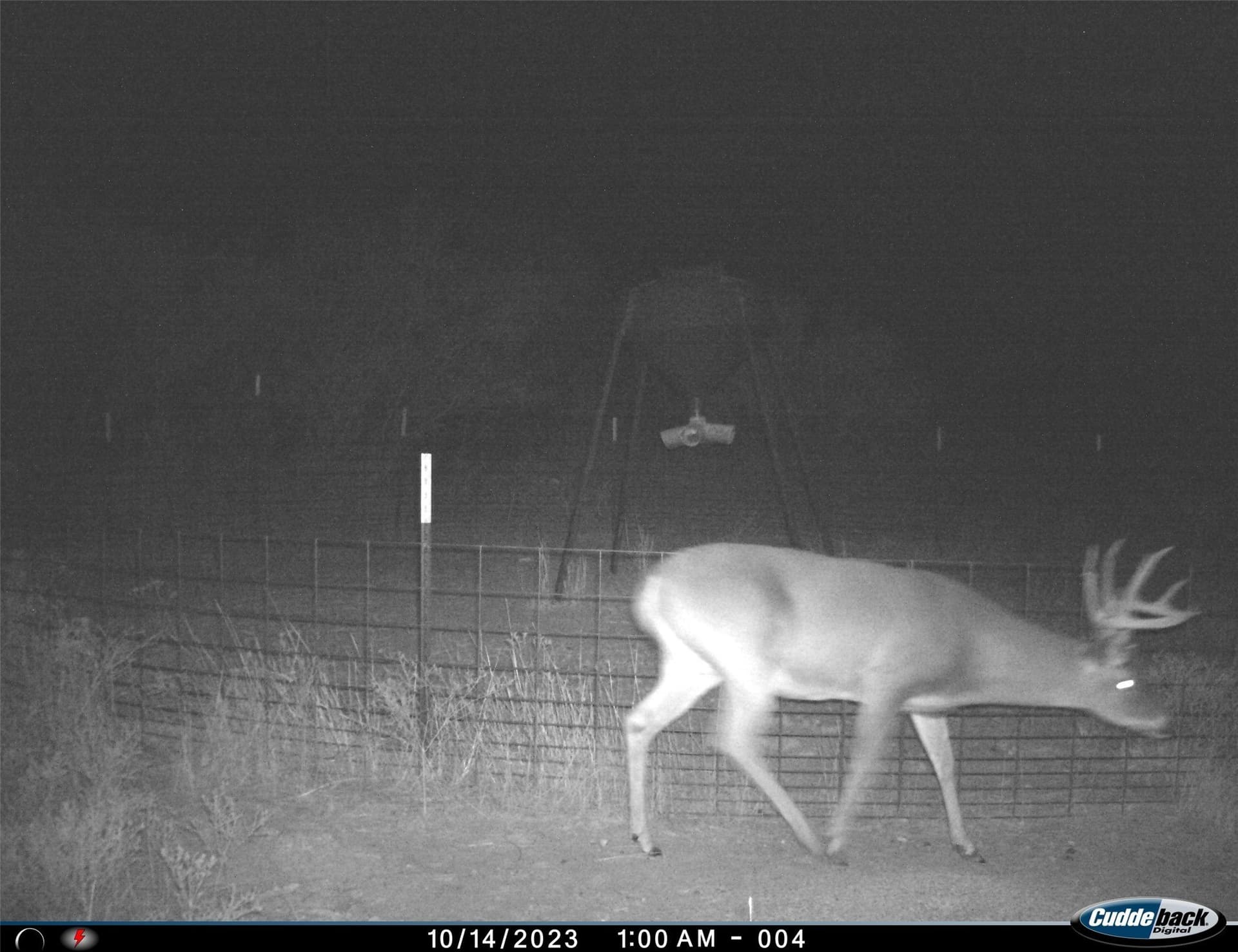 210 acres in Wichita County - photo 30