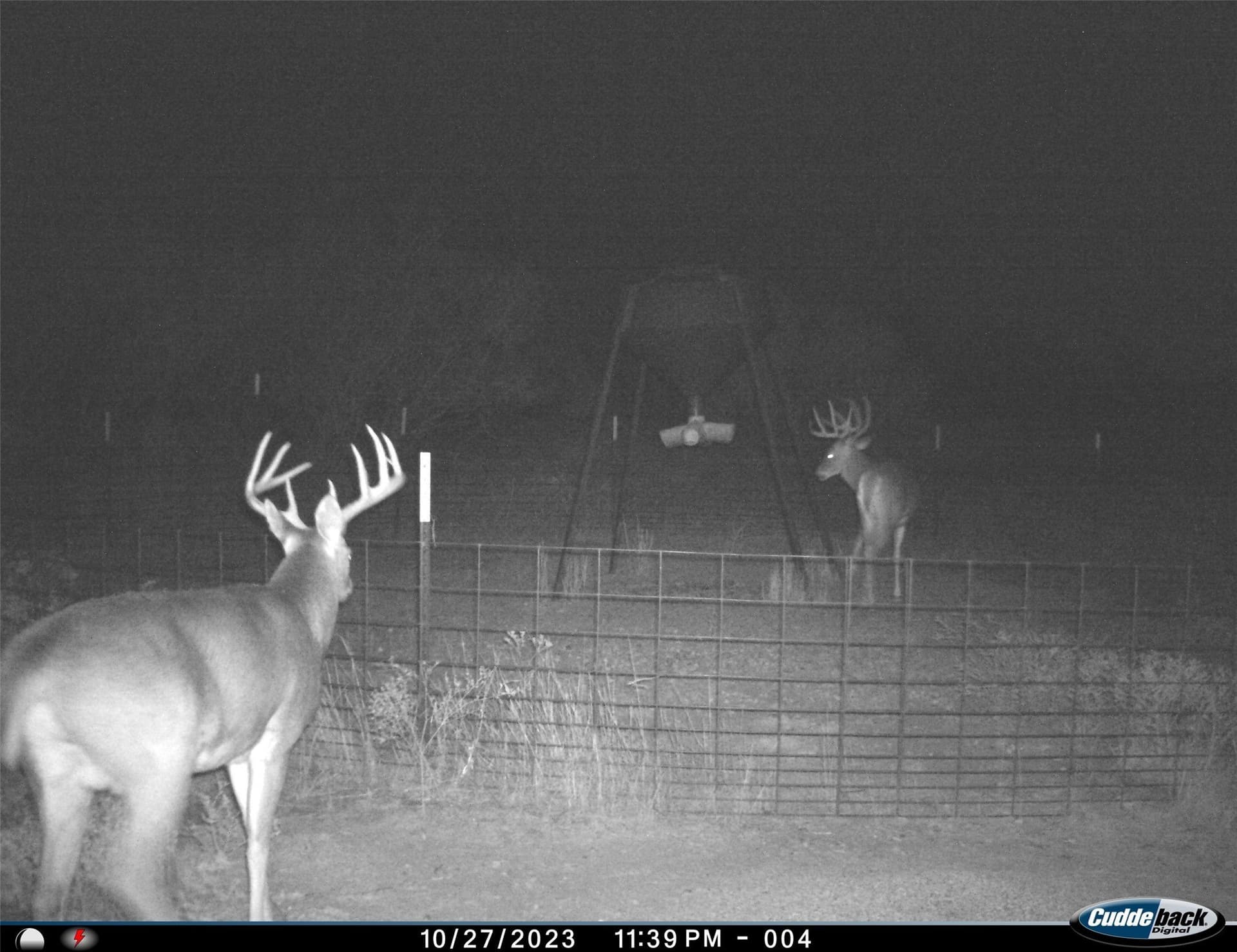 210 acres in Wichita County - photo 33