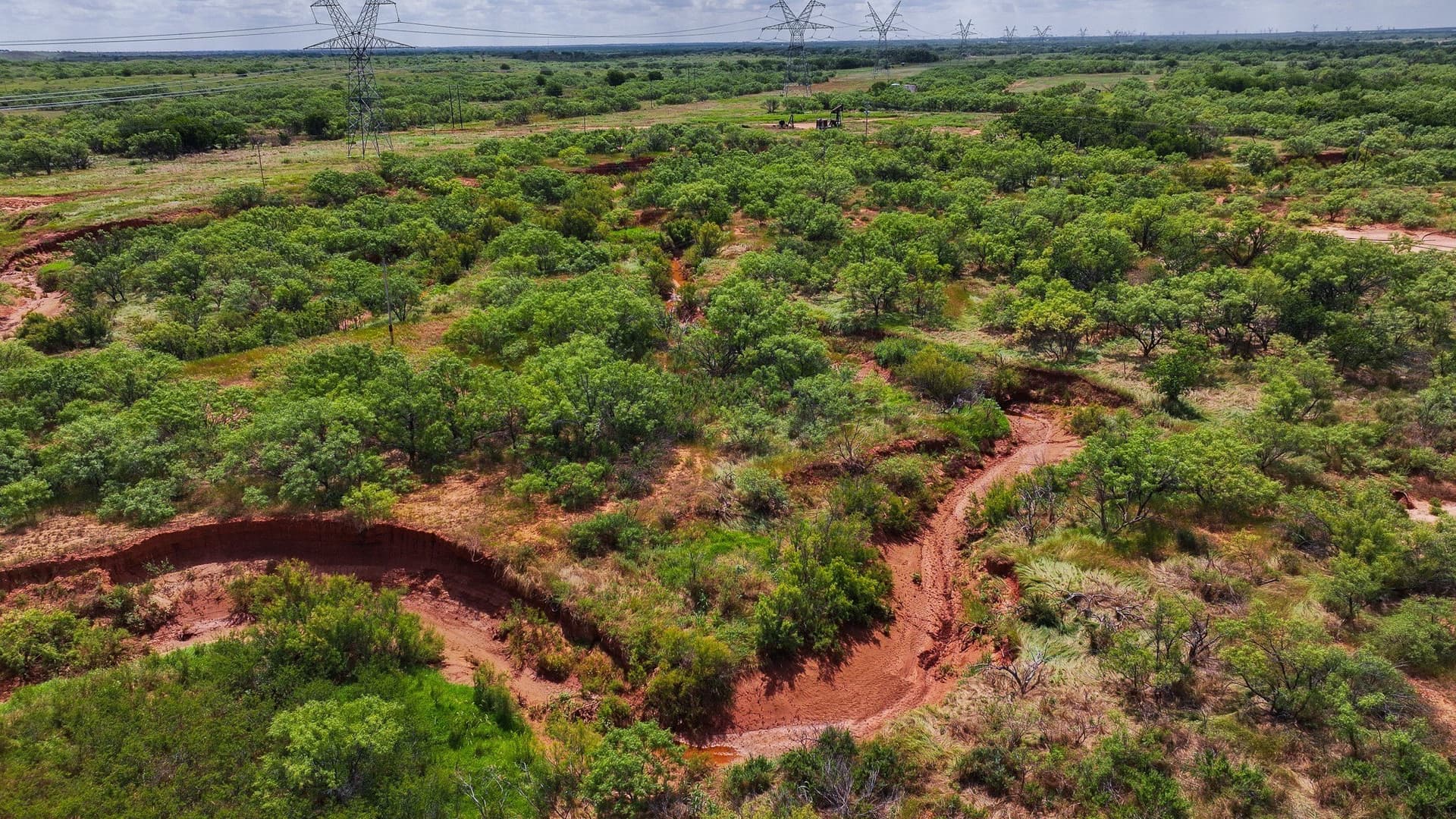 210 acres in Wichita County gallery image 3