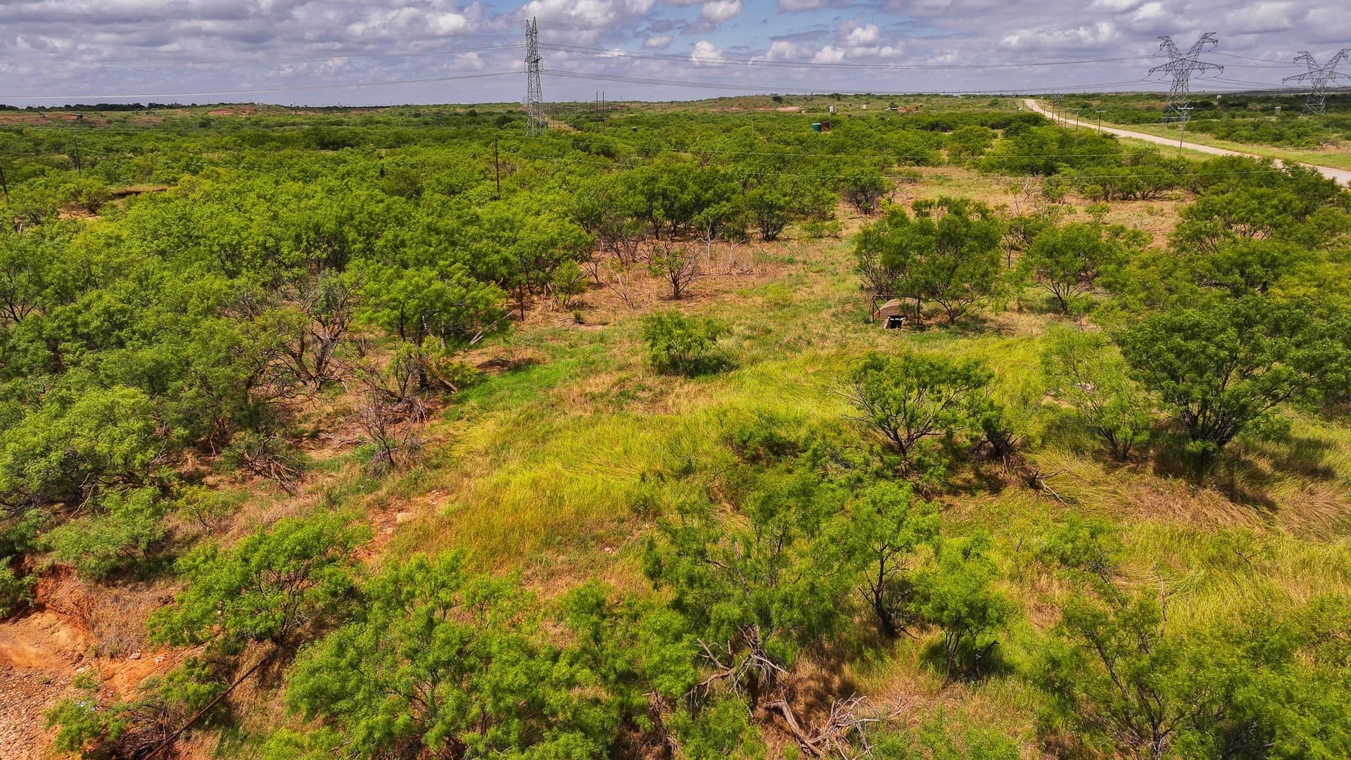 210 acres in Wichita County - photo 13