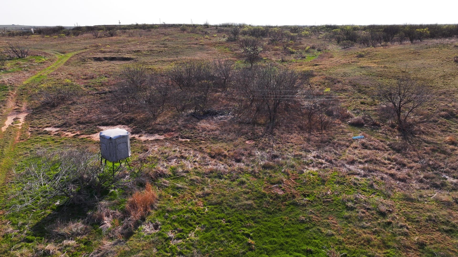 210 acres in Wichita County featured view