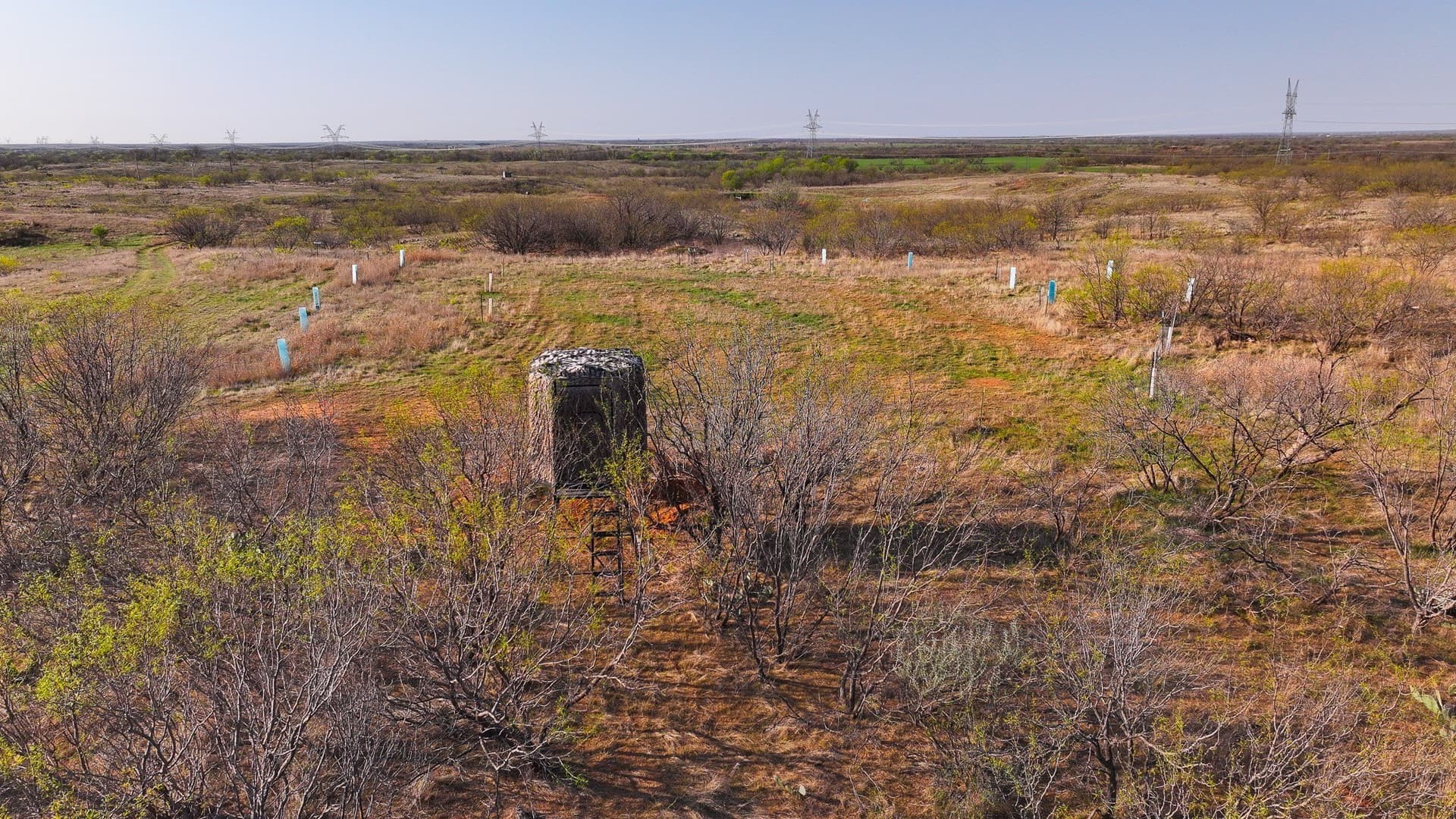 210 acres in Wichita County - photo 17