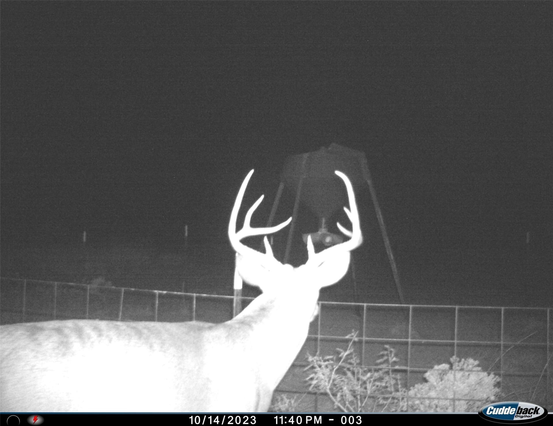 210 acres in Wichita County gallery image 4