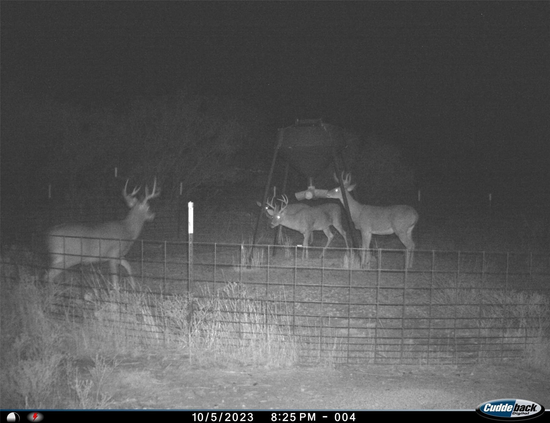 210 acres in Wichita County - photo 8