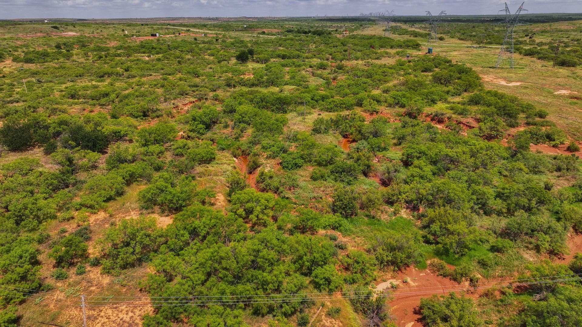 210 acres in Wichita County - photo 10