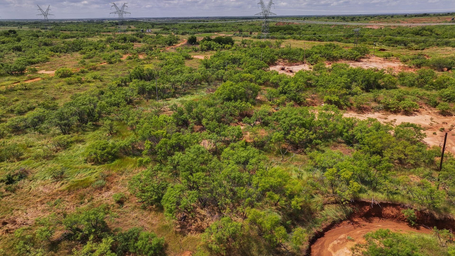 210 acres in Wichita County - photo 23