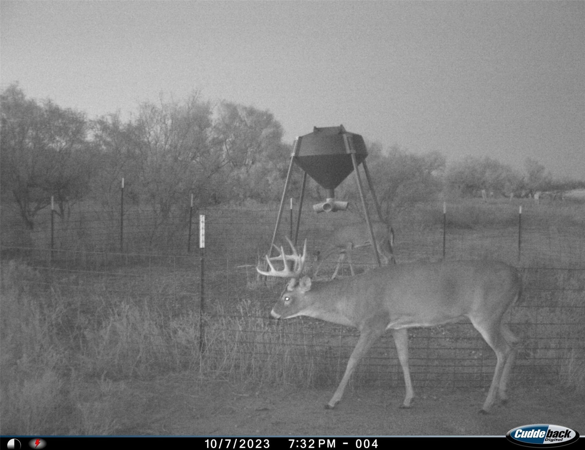 210 acres in Wichita County - photo 14