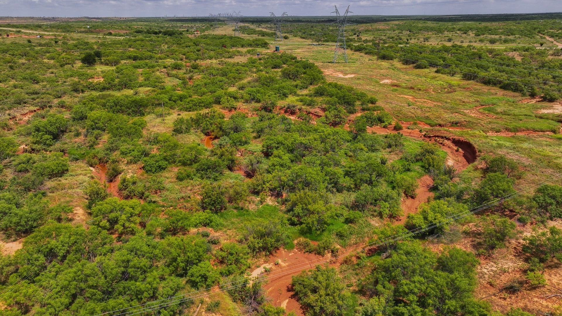 210 acres in Wichita County - photo 20
