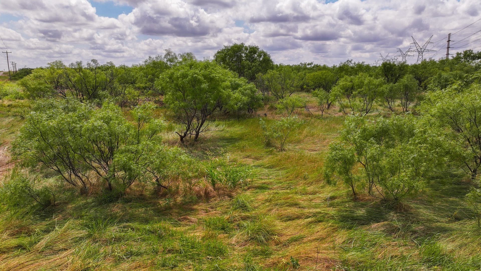210 acres in Wichita County - photo 35