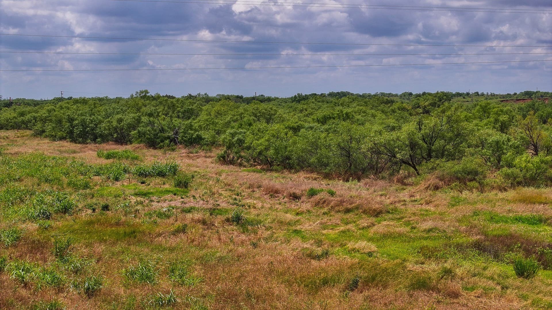 210 acres in Wichita County - photo 31