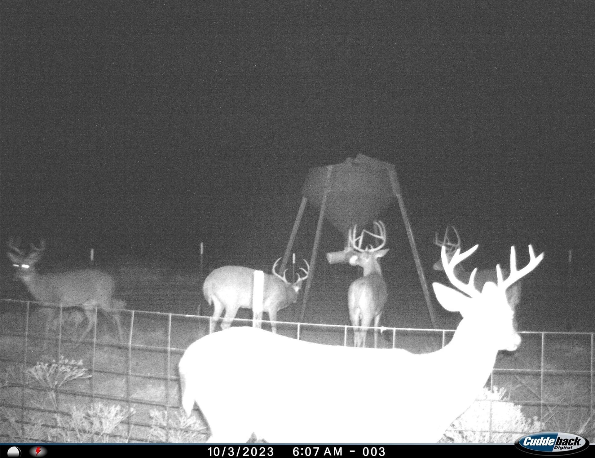 210 acres in Wichita County - photo 27