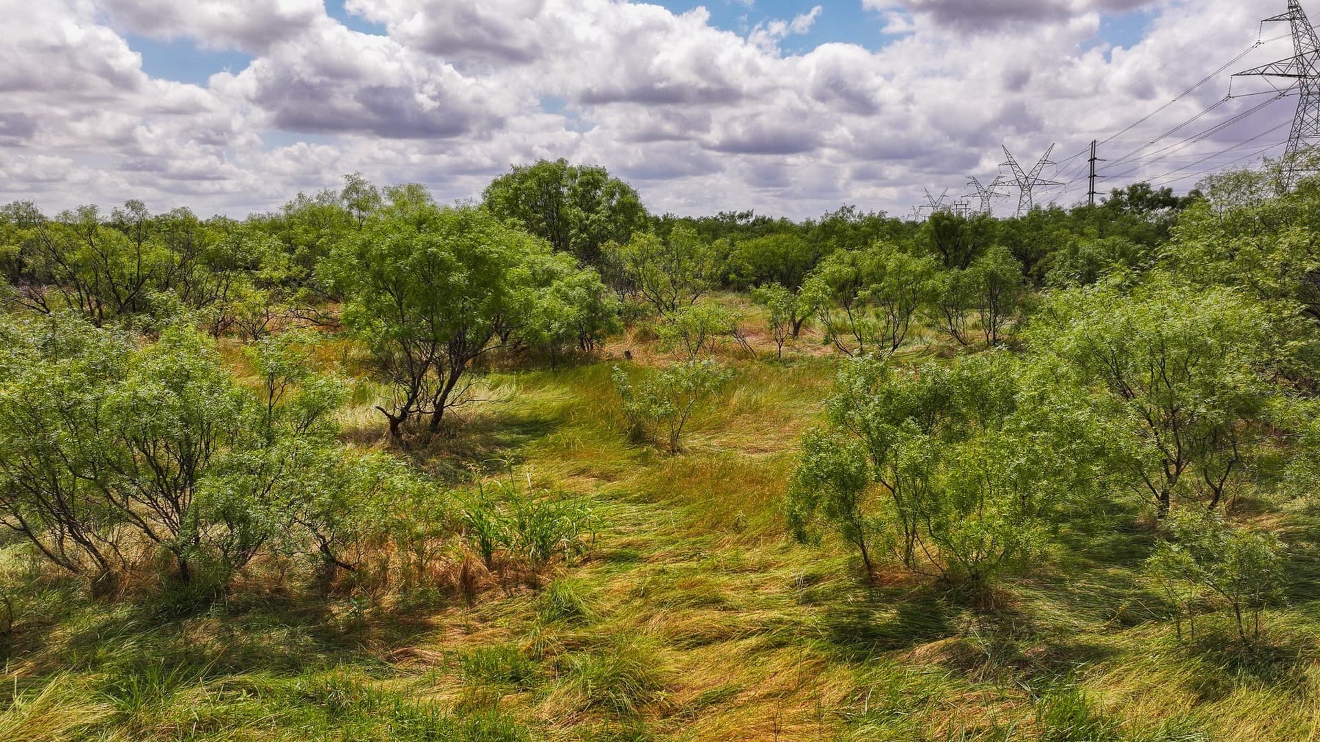 210 acres in Wichita County - photo 32