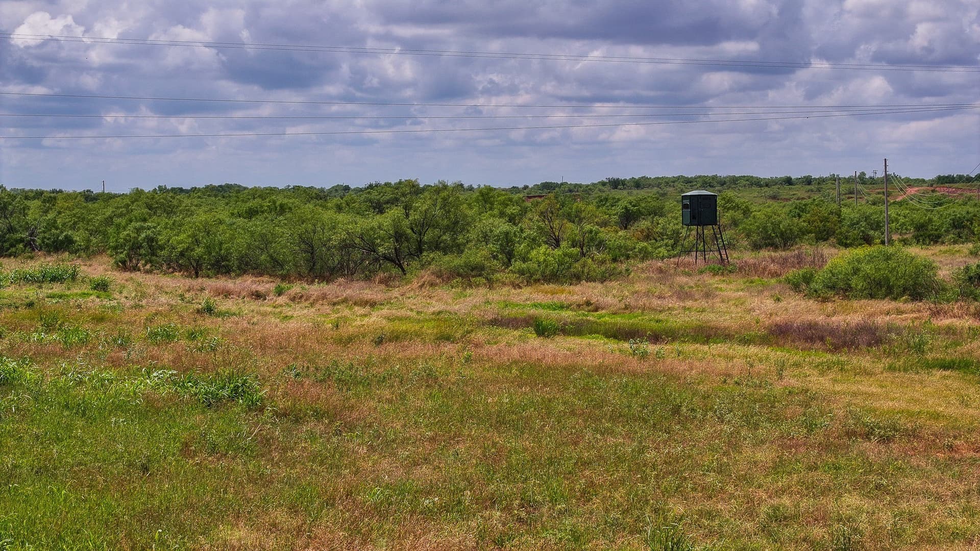 210 acres in Wichita County - photo 29