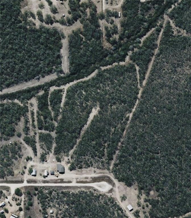 10.8 acres in Duval County - photo 18