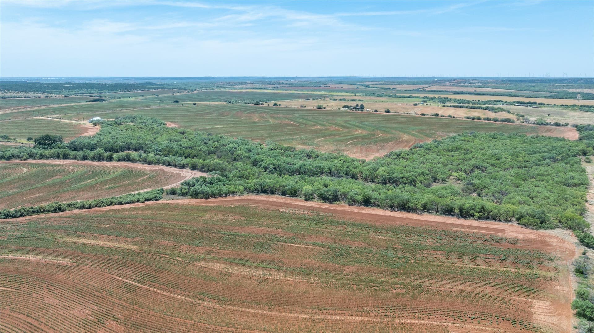 200 acres in Nolan County - photo 23