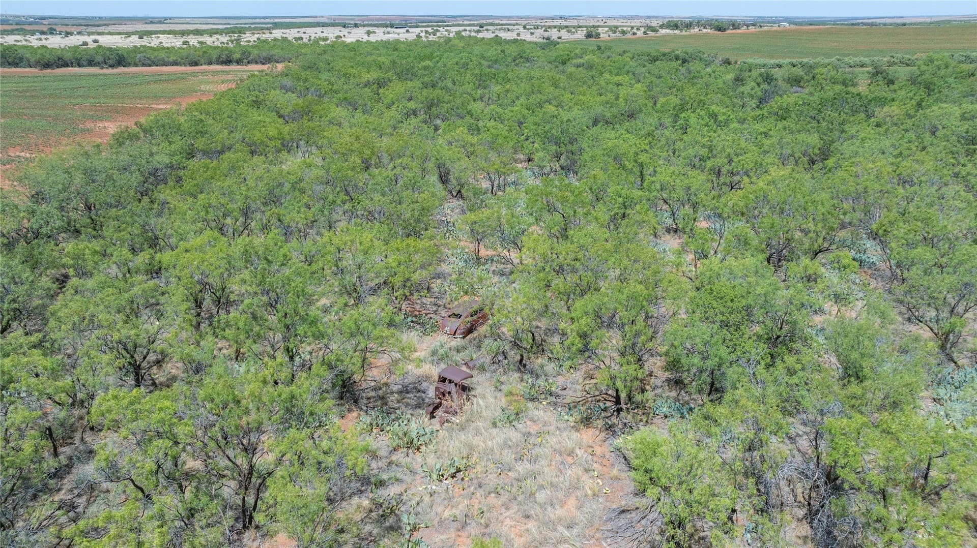 200 acres in Nolan County - photo 35
