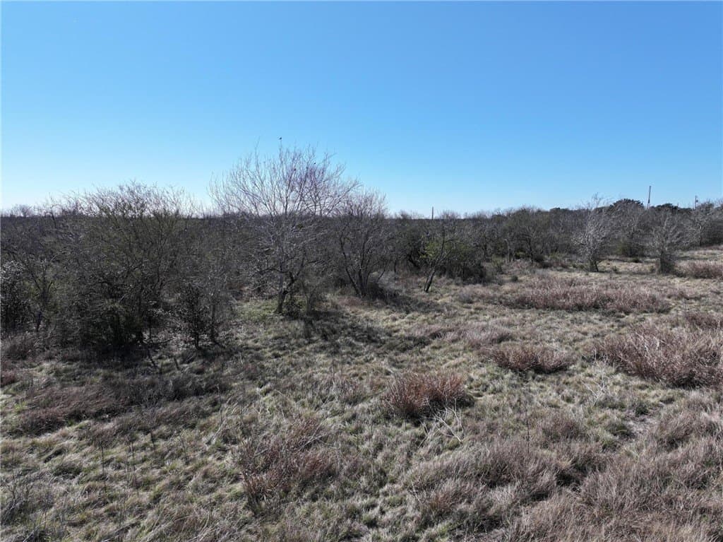 7.48 acres in Bee County - photo 15